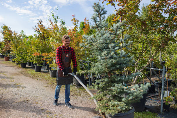 Best Tree Preservation Services  in Johnson Creek, WI